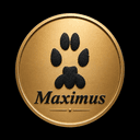 Maximus medallion