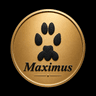 Maximus medallion