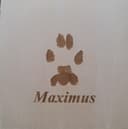 Maximus paw