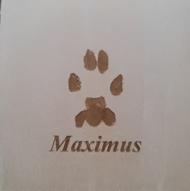 Maximus paw print