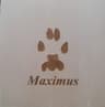 Maximus paw print