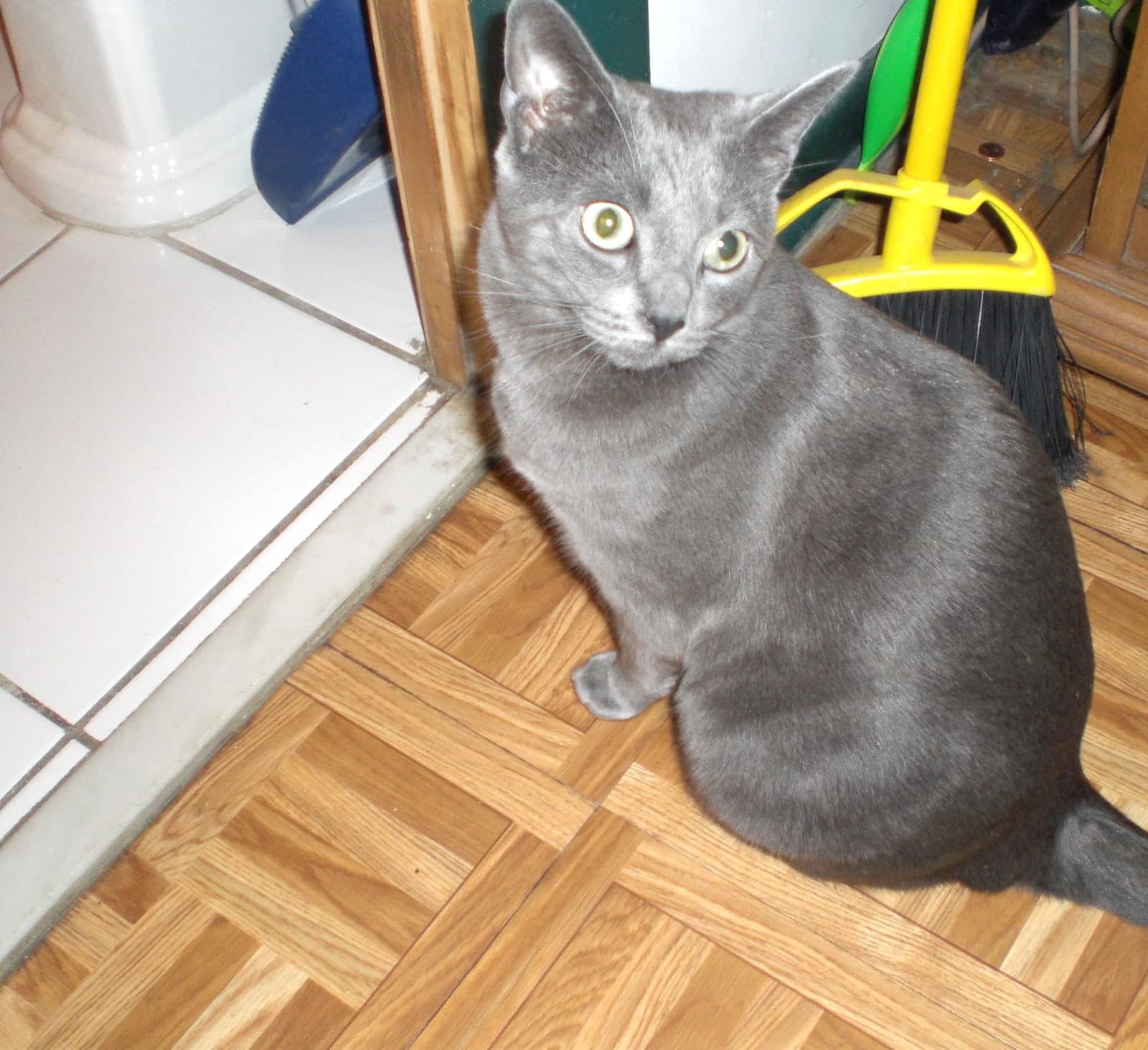 Benjamin photo 7