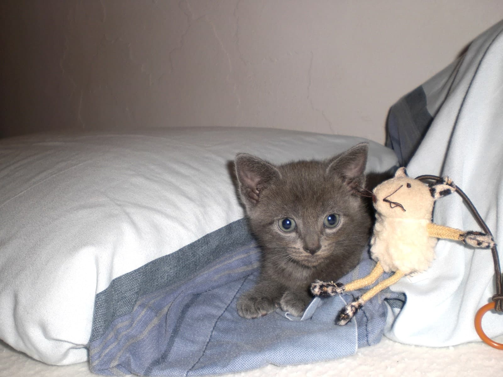 Benjamin photo 3