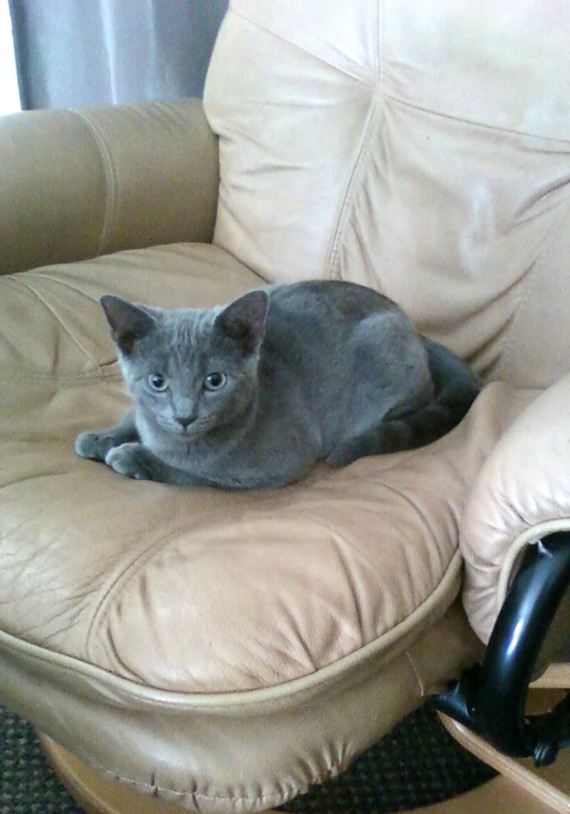 Benjamin photo 8