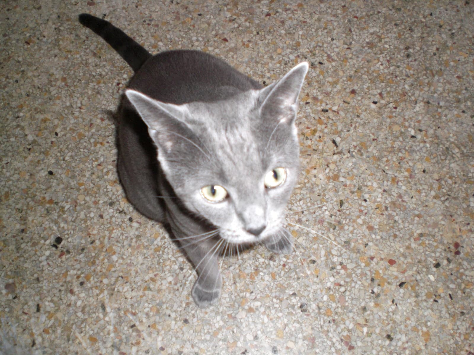 Benjamin photo 6