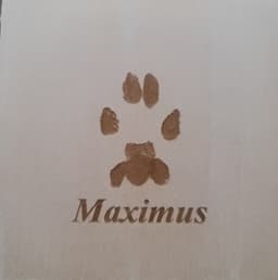 Maximus paw print