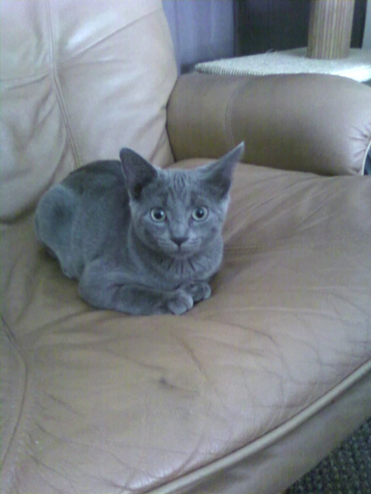 Benjamin